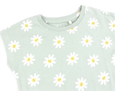 Name It silt green daisy flowers top